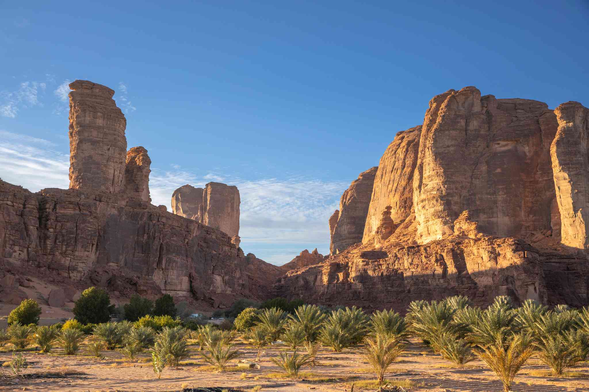 Scenic view of Al Ula - private day trip from Medina - photo 3